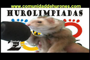 cococanta4.jpg