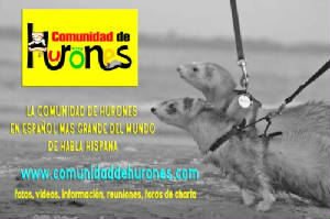promocomunidad1.jpg