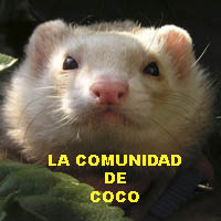 comucoco2.jpg