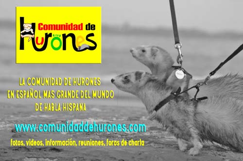 promocomunidad1.jpg