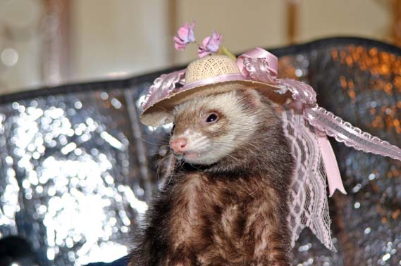 sidnysombrero3.jpg